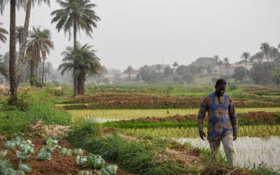 Guiné-Bissau promoverá acordo sobre meio ambiente e direitos humanos