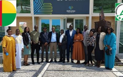 Reunião  da  ANARBA  com o Sr. Embaixador da Guiné-Bissau em Portugal e a sua delegação, Eng. Artur Silva.