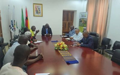Senhor Primeiro-Ministro da Guiné-Bissau, Braima Camará recebeu em audiência a Plataforma da Diáspora Guineense.